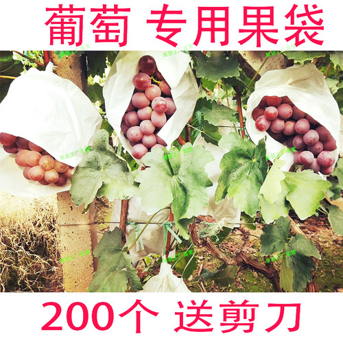 葡萄专用套袋露天葡萄袋子葡萄纸袋巨峰葡萄套袋防虫防鸟防雨包邮 - 图0