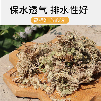 中古水苔无菌智力干水苔兰花无土栽培介质营养土蝴蝶兰花专用花土 虎窝淘