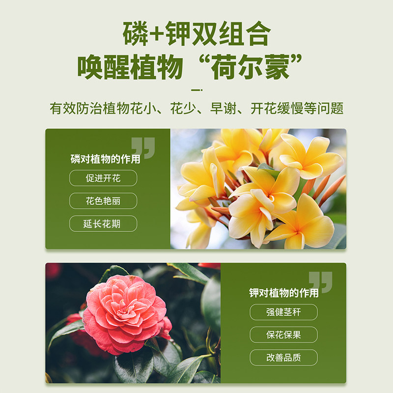 中古快速开花粉30g~500g花卉盆栽爆花催花促花冒花素通用园艺肥料,淘宝优惠券,粉丝福利购,淘宝优惠卷