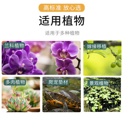 中古水苔无菌智力干水苔兰花无土栽培介质营养土蝴蝶兰花专用花土 虎窝淘