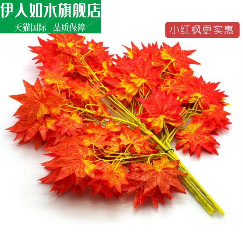 花红叶树 新人首单立减十元 22年1月 淘宝海外