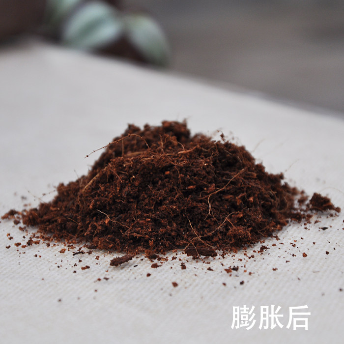 有机种花种菜种植土爬宠垫材椰粉砖椰砖椰土650g 阳台种菜土包邮 - 图2