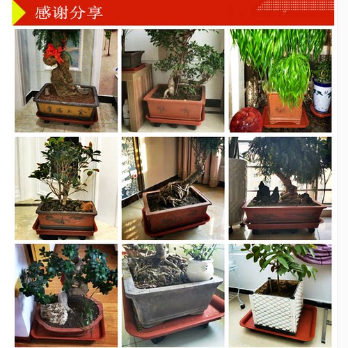 超大加厚承重万向轮可移动盆景花盆长方形接水托盘移动托盘包邮 - 图2