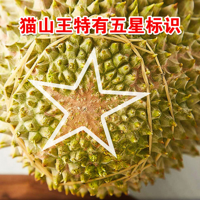 Malaysian Musang King Durian