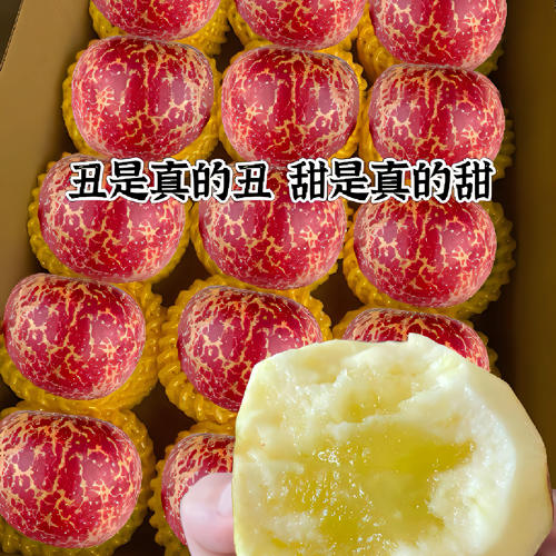 云南昭通冰糖心丑苹果当季新鲜水果甜脆多汁同城包邮现摘现发带皮 - 图0