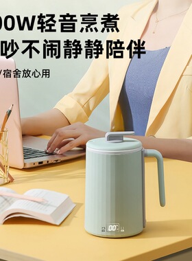 跨境烧水养生杯电热水杯炖盅110V