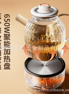 110/220v炖煮一体养生壶办公室多功能煮茶器2025新款全玻璃花茶壶