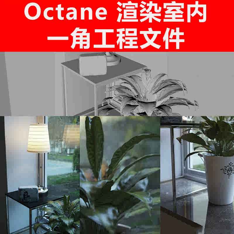 植物台灯盆栽 新人首单立减十元 22年2月 淘宝海外
