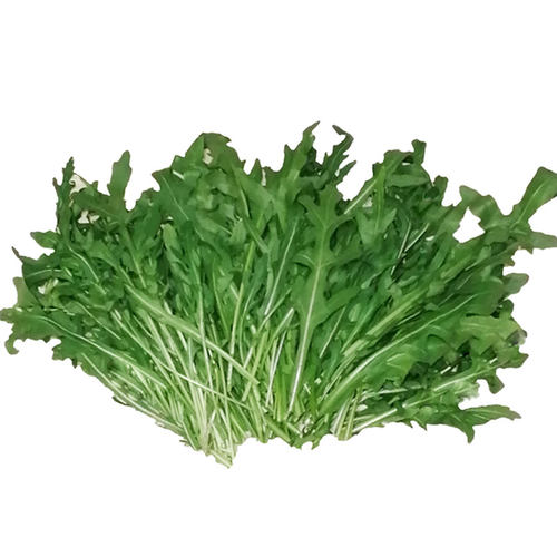 勤励园新鲜芝麻菜现摘现卖蔬菜健康食品西餐沙拉配菜食材榨汁用 - 图3