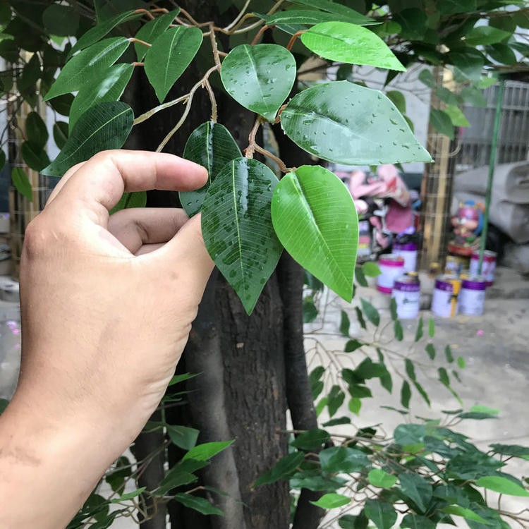 仿真榕树假树仿真大型植物酒店商场婚礼道具许愿树景观树橱窗装饰 - 图0