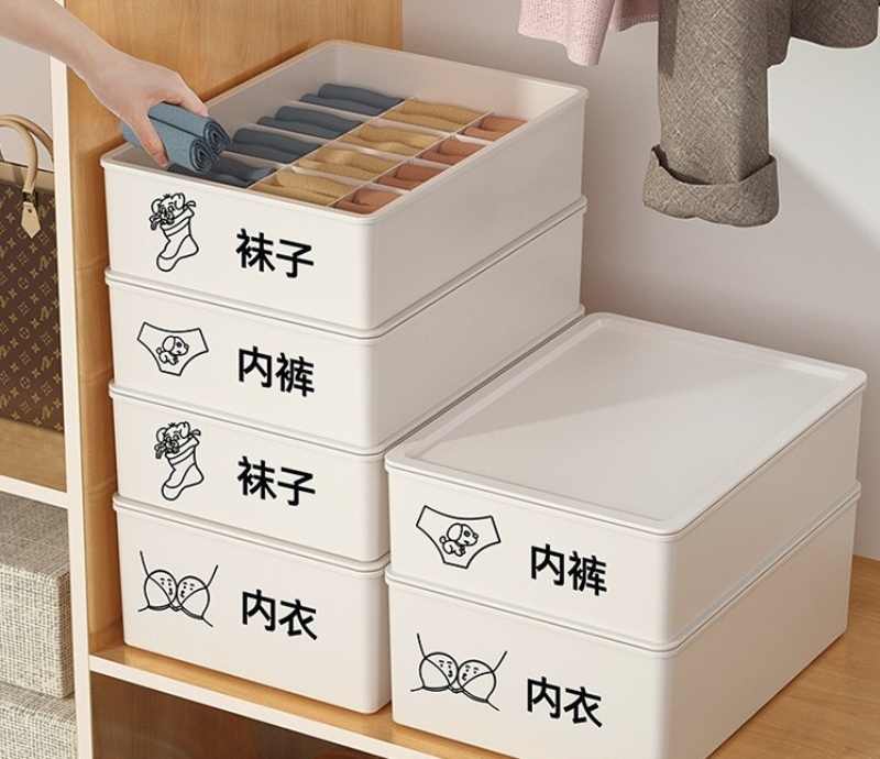 1pc Multifunctional Underwear Storage Box, 29.6cm*18.5cm*8.5cm