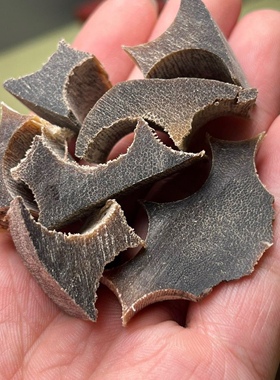 碎料保真角料养生文玩药材料披毛犀角鱼籽纹支持检测