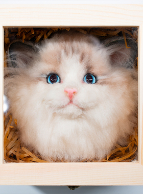 宠物羊毛毡来图定制玩偶猫头狗动物纪念订做礼物摆件手工萌宠天堂