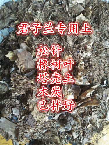 包邮吉林腐熟橡像柞树叶不含土已发酵充分君子兰 - 图0