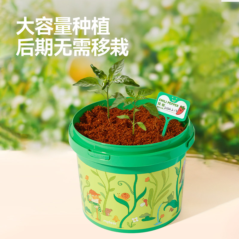 mideer弥鹿攀爬桶儿童植物种植盆栽阳光房生长观察盒科学实验玩具