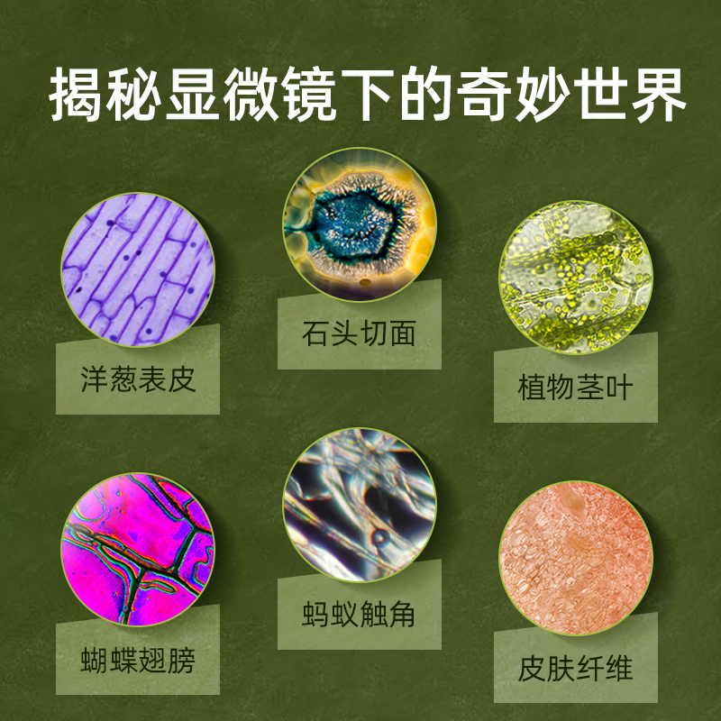 mideer弥鹿便携儿童显微镜中小学生专用可看细标本菌科学实验礼物