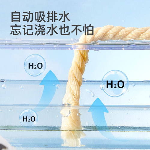 mideer弥鹿种植观察盒儿童科学植物生长阳光房玩具六一儿童节礼物