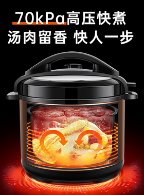【三角牌官方正品】双胆电压力锅