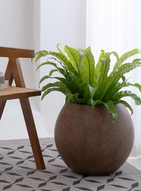 高端轻奢圆形镁泥大花盆落地装饰
