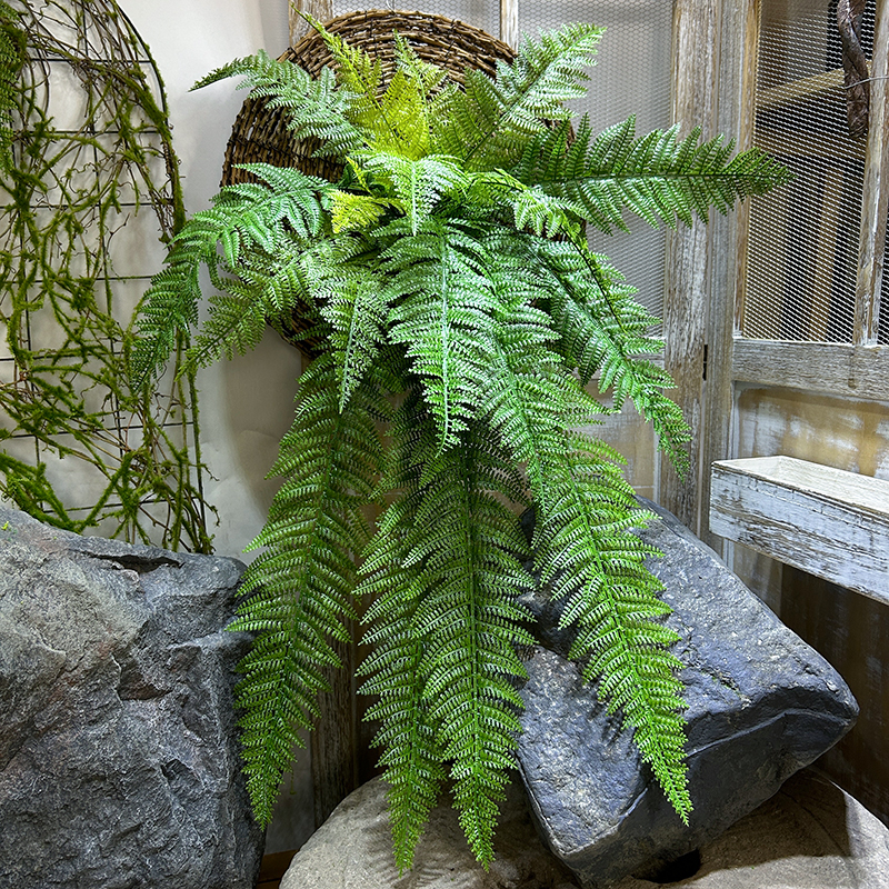 波斯蕨仿真假草室内植物墙配材绿植羊齿蕨山草橱窗微景观大蕨叶-图1