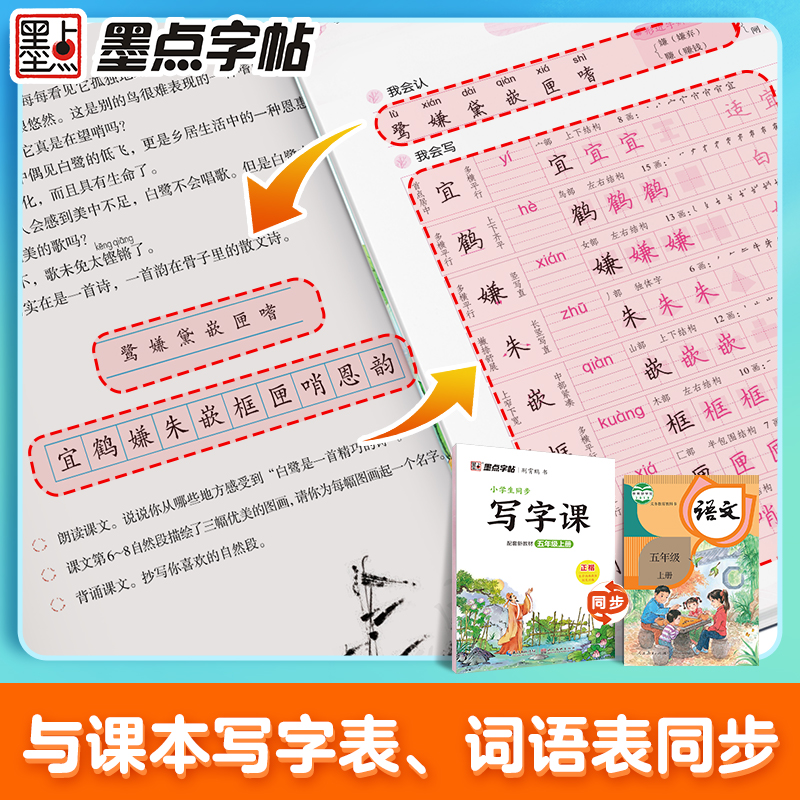 2023新五年级上册小学生同步写字课语文人教版配套新教材墨点5上同步字帖练字小学生专用部编版楷体临摹生字描红笔画笔顺练字本zt-图0