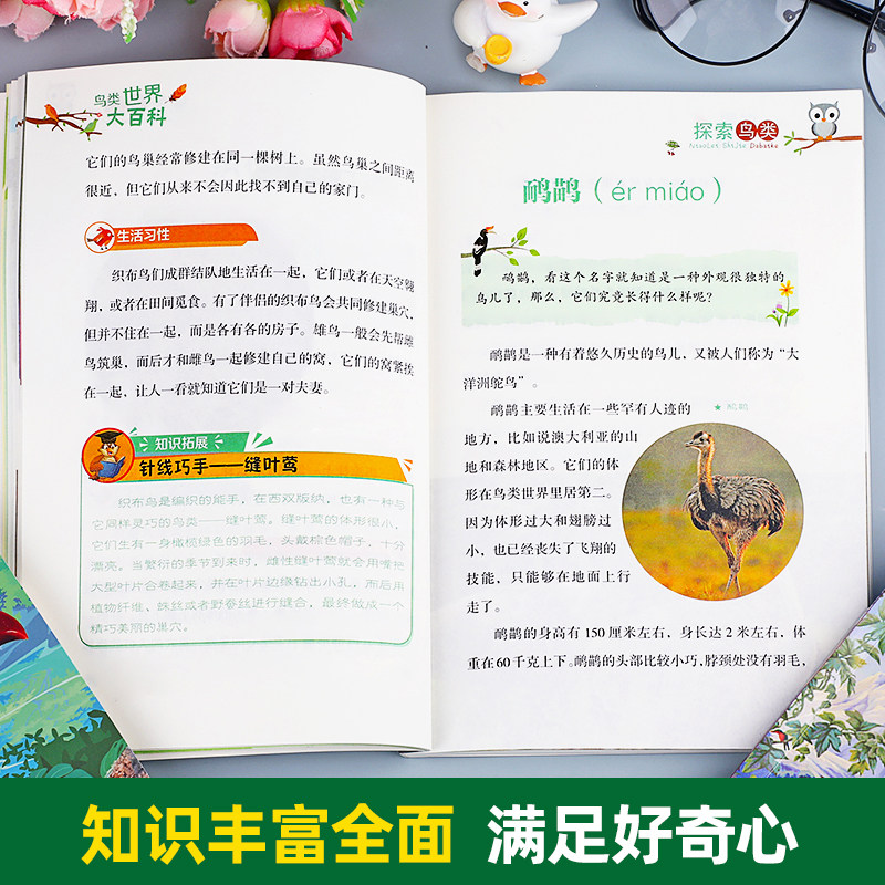 全4册彩图版鸟类世界大百科全书探索揭秘自然科学启蒙儿童读物科普书籍鸟类图鉴动物百科全书适合小学生看的课外阅读书籍老师推荐