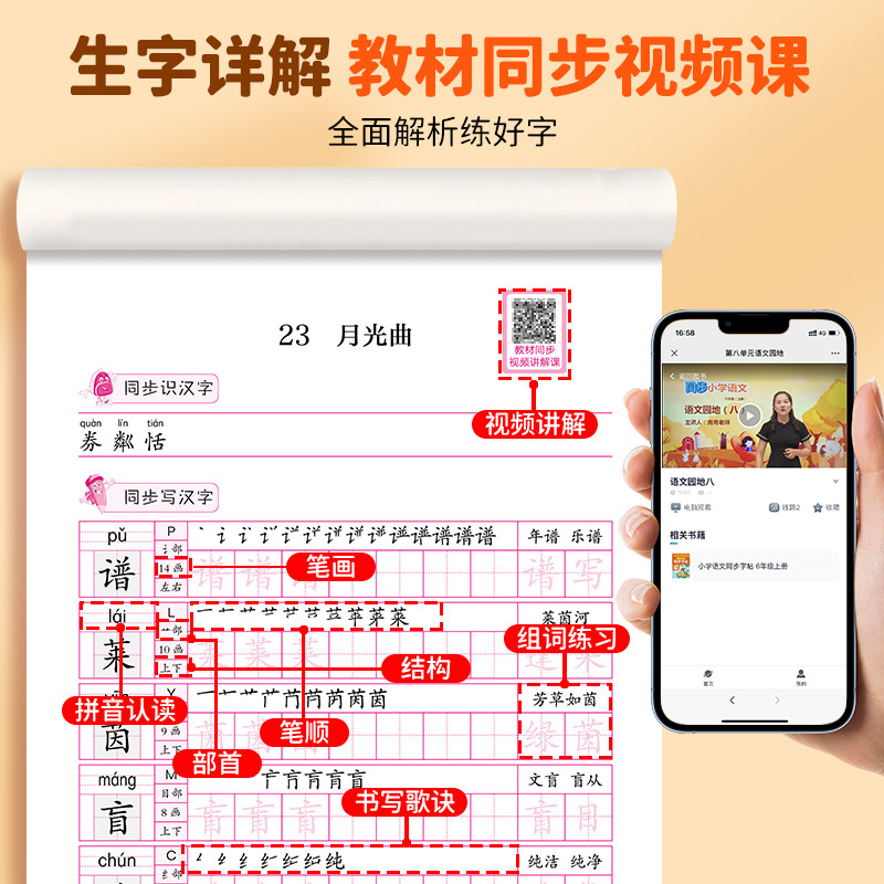 六年级上册语文同步字帖练字帖 小学6年级上配套人教版 小学生同步课本教材每日一练上学期写字课课练楷体描红临摹笔顺笔画写字帖