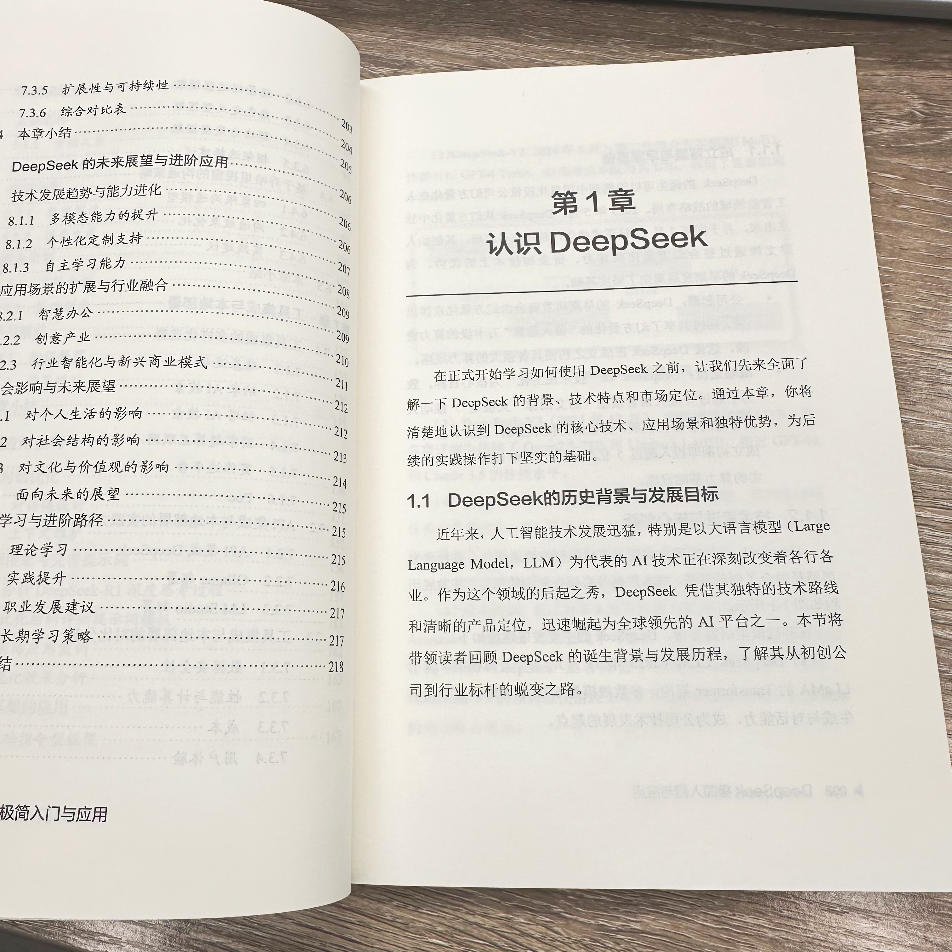【现货速发】deepseek极简入门与应用正版书籍 deepseek从入门到精通使用教程实用实战指南 零基础手把手教你小白ai入门保姆级教程