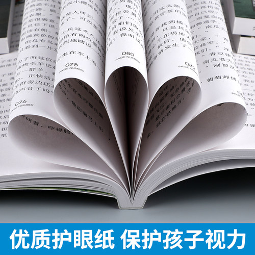 【4本28元系列】正版包邮会飞的教室国际大奖儿童文学美绘典藏版 7-9-10-12岁书籍读物三四五六年级班主任推荐阅读小学生课外书-图3