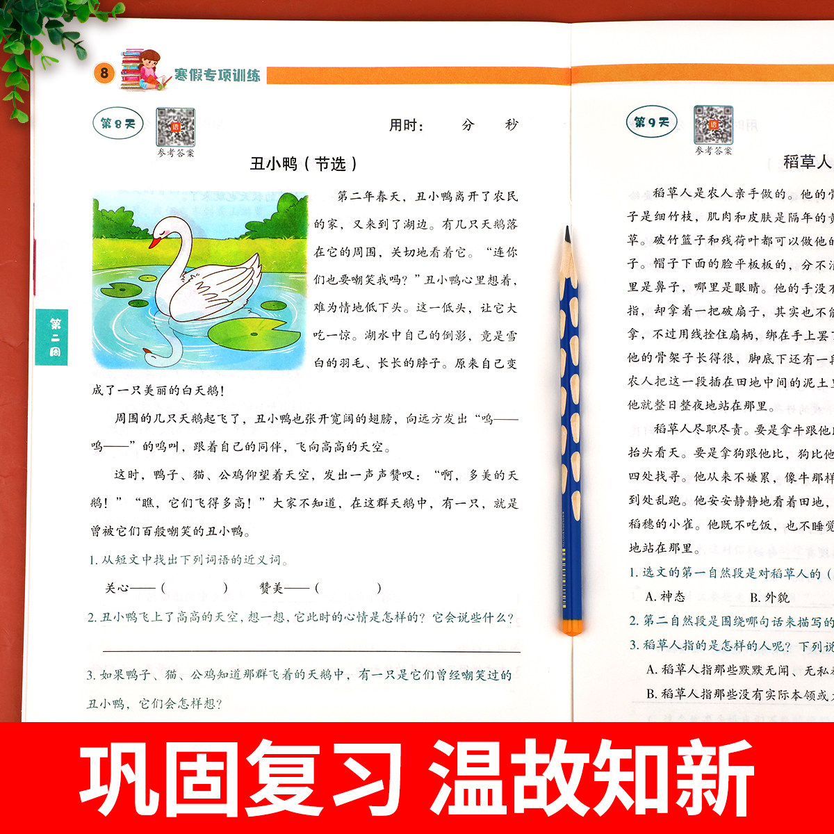 老师推荐】三年级寒假阅读 语文阅读理解训练题人教版每日一练小学3年级上/下寒假衔接练习上册下册专项强化训练书课外阅读书籍RJ