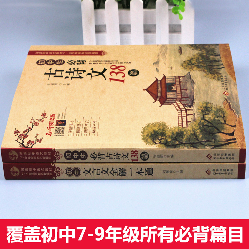 全套2册初中必背古诗文138篇+文言文全解一本通完全解读中学生初一初二初三古诗词文言文必背篇目译注与赏析阅读训练七八九年级zj - 图0