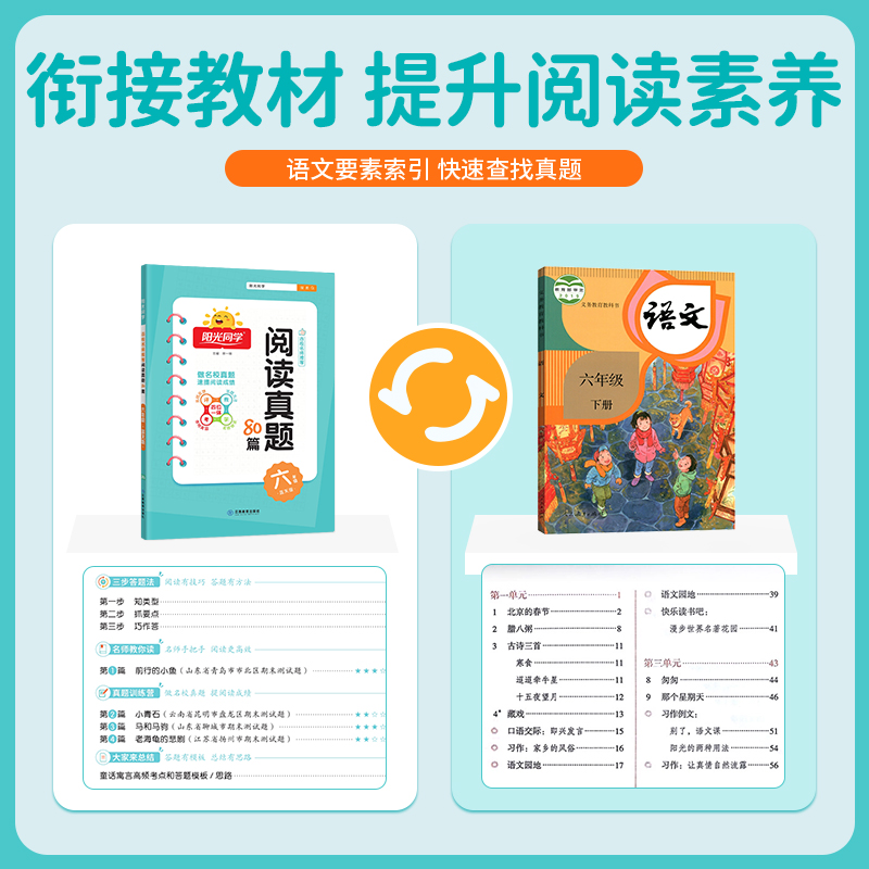 2025版六年级阳光同学阅读真题80篇蓝天版小学语文通用版6年级同步阅读理解专项训练RJ - 图1