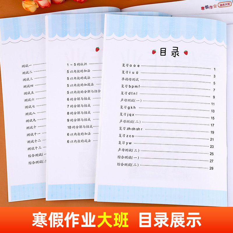 幼儿园大班寒假作业 幼儿中班大班练习册全套寒假衔接一本通练习题 语文拼音数学思维启蒙训练早教书籍儿童幼儿学习教材天天练