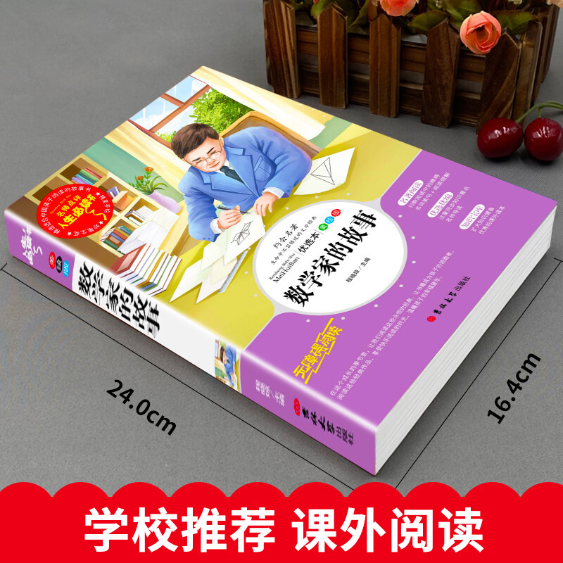 【4本35元系列】数学家的故事正版四五六年级小学生课外阅读书籍中外名人故事世界经典青少年成长励志故事书祖冲之陈景润华罗庚 AF-图0