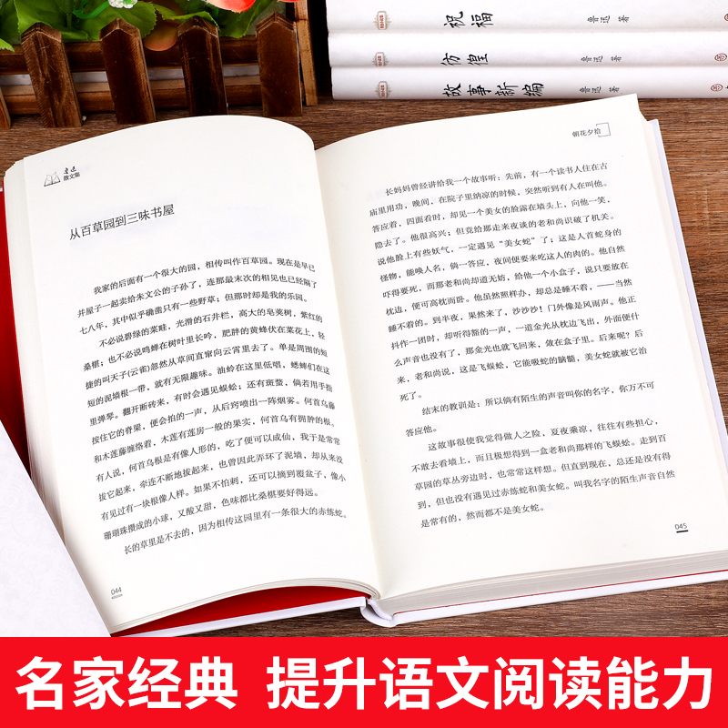 儿童文学鲁迅全集原著正版10册 朝花夕拾狂人日记故乡呐喊彷徨故事新编祝福孔乙己阿Q正传野草初中生六七年级阅读书必课外阅读书籍 - 图1