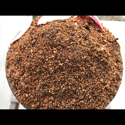 牛油果专用土牛油果土盆栽营养土酸性沙质泥炭土壤绿植种植土肥料 - 图0