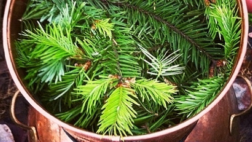 ｛海伦珍选｝澳洲茶树饱和纯露 抗痘净肤控油 天然 痘痘 - 图0