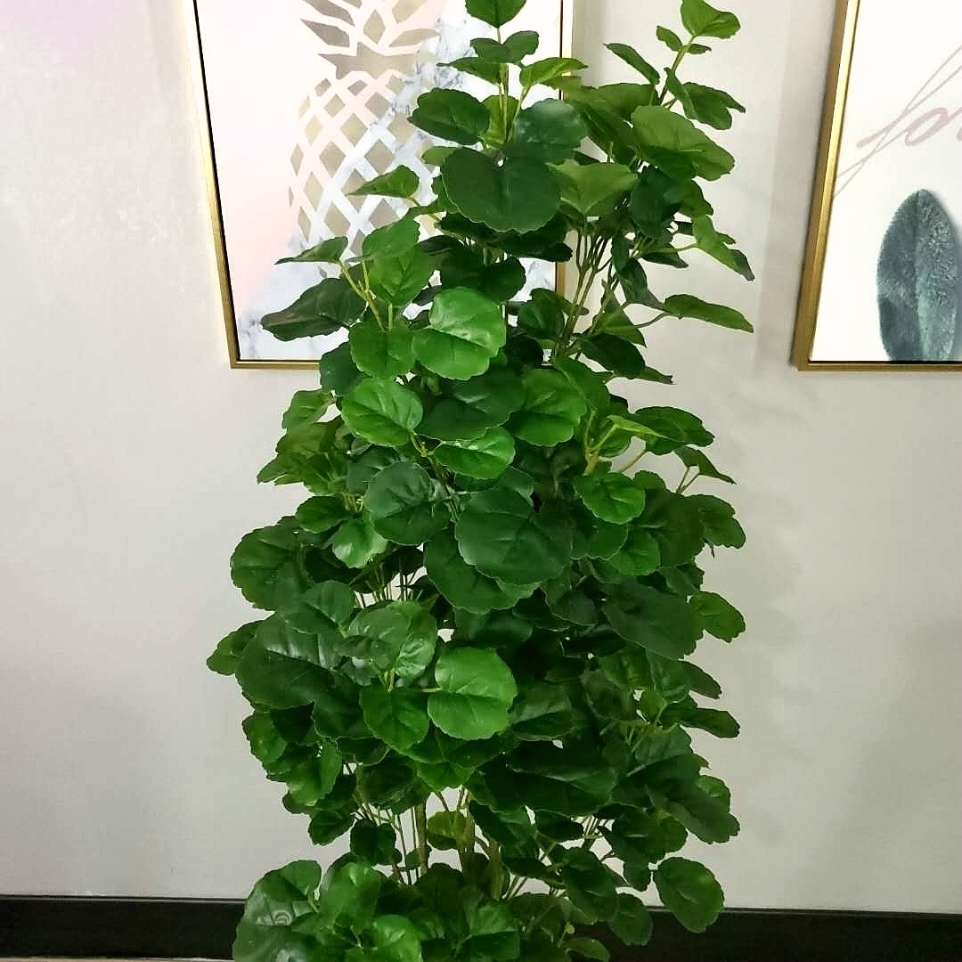 仿真绿海棠丛生小树盆栽人造植物定做假植物摆放景观工艺品-图2