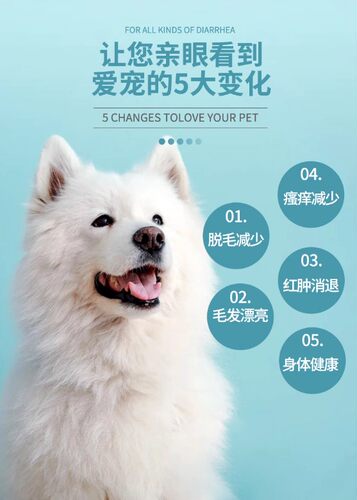 爱纳它贝肤芬宠物药品真菌皮肤病口服狗狗猫咪真菌猫癣脓皮病狗癣 - 图0