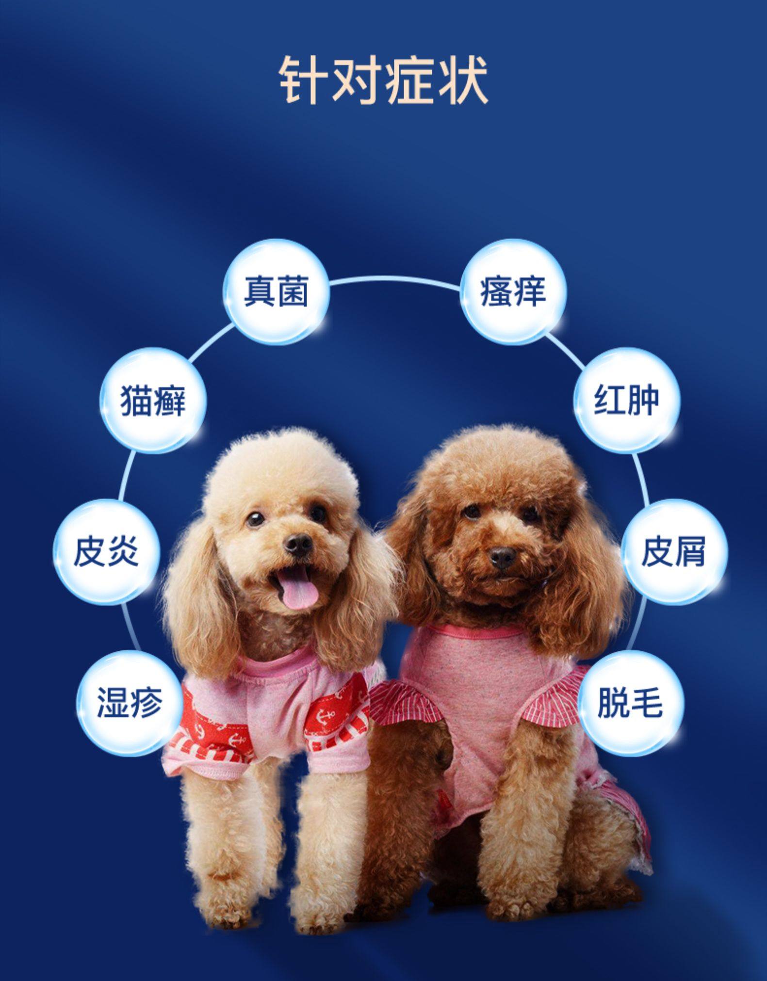 皮特芬猫藓喷剂狗狗真菌皮肤病外用药狗药猫癣用药金盾喷雾止痒猫,淘宝优惠券,粉丝福利购,淘宝优惠卷