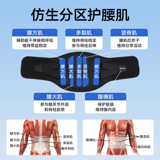 ZD waist support belt lumbar disc herniation belt