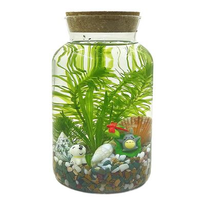 创意生态瓶小型桌面鱼缸观赏鱼虾螺微景观精致真水草造景diy礼物 虎窝淘