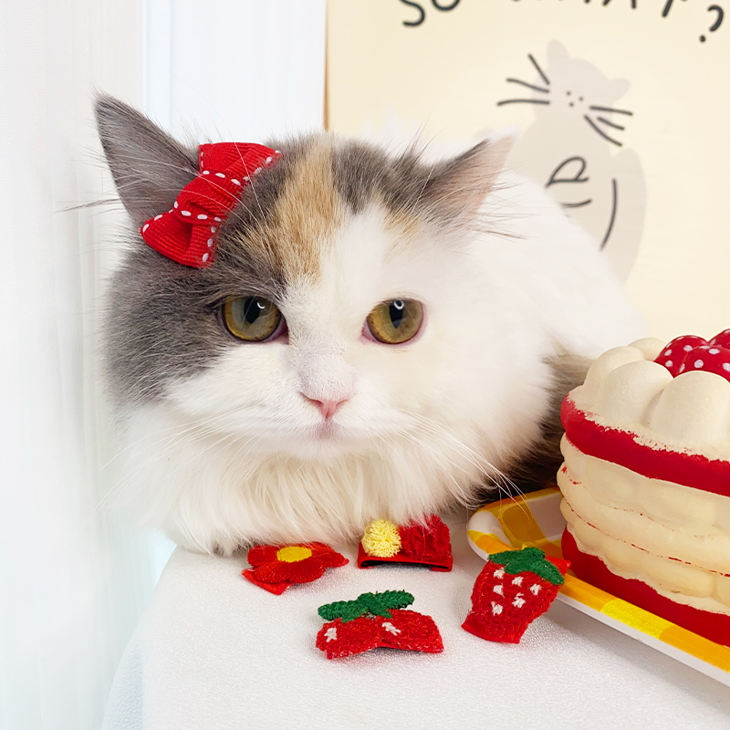 猫咪小发夹宠物bb夹新年发饰布偶猫头饰迷你蝴蝶结约克夏狗狗发卡-图0