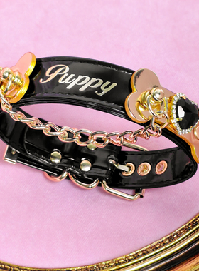 小狗最喜欢闪闪发光的骨头项圈啦