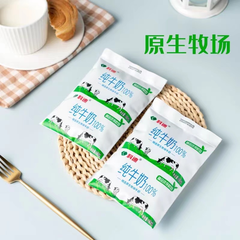 科迪纯牛奶网红奶精品枕小白奶180ml*16袋装整箱学生营养早餐奶 - 图2