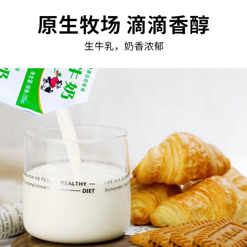 科迪纯牛奶网红早餐奶原生牛奶百利装小白奶200ml*16袋装整箱鲜奶