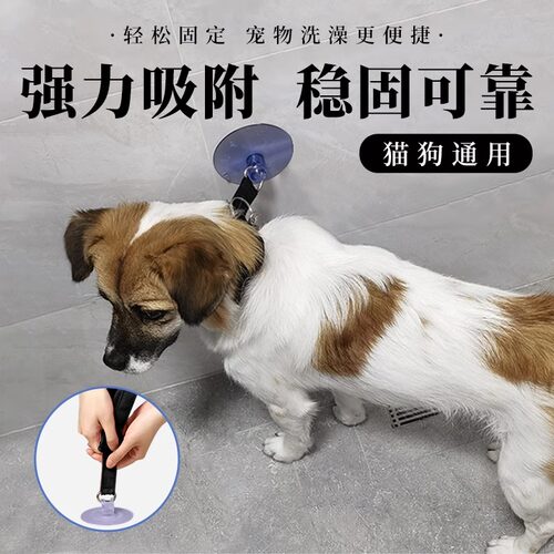 猫咪洗澡固定器狗剪毛洗猫固定吊绳宠物美容台狗狗洗澡防跑防抓咬 - 图1