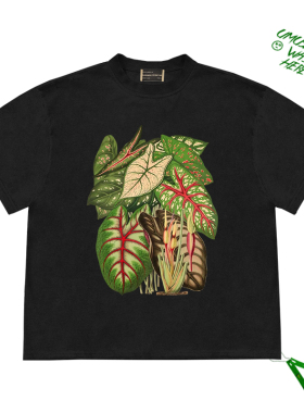 纯棉欧美潮牌植物草短袖t恤男女宽松ins街头风复古半袖体恤上衣服