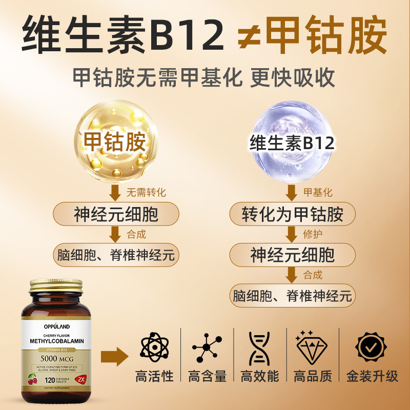  SportsResearch海外B族维生素