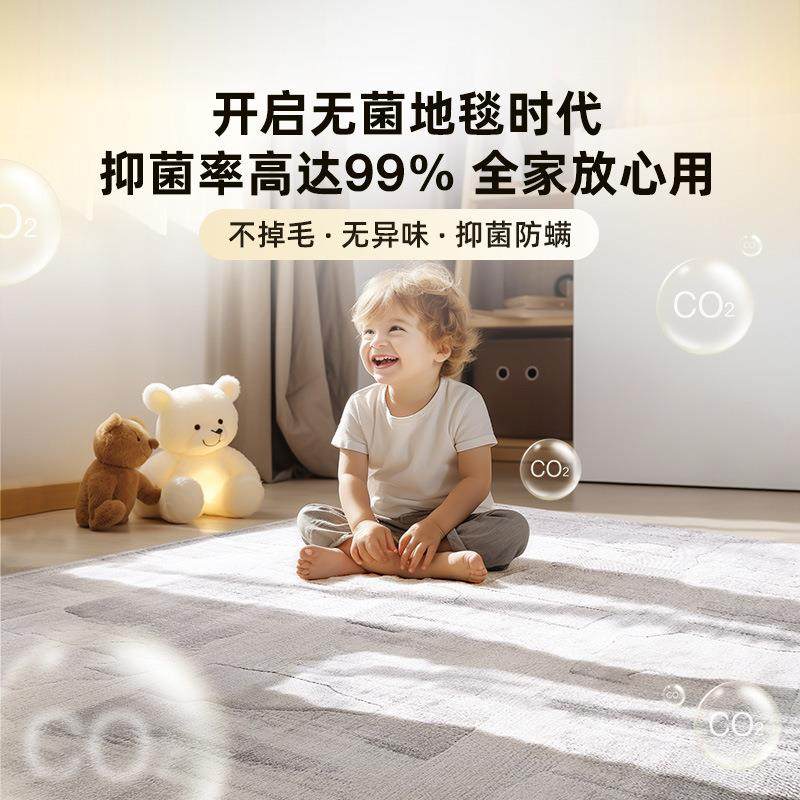 高级感客厅地毯卧室耐脏抑菌加厚床边毯防滑书房地毯大面积全铺,淘宝优惠券,粉丝福利购,淘宝优惠卷